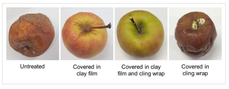 Produce wrapped in clay film stays fresher longer