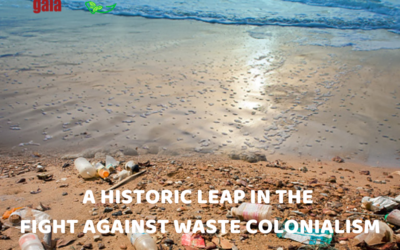 A Historic Leap in the  Fight Against Waste Colonialism