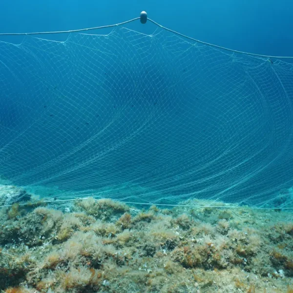 Fishing nets: the double-edged plastic swords in our ocean